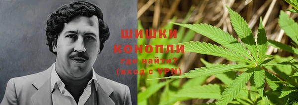 mdpv Арсеньев