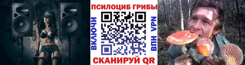 mega вход  дарнет шоп  Острогожск  Галлюциногенные грибы Magic Shrooms 
